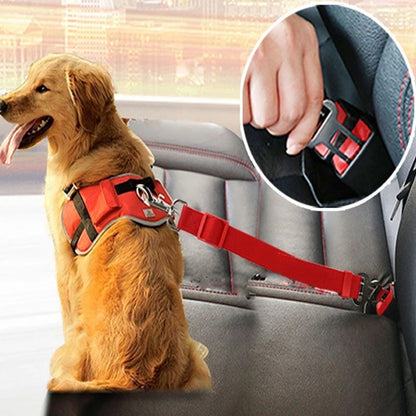 DoggySafety Strap