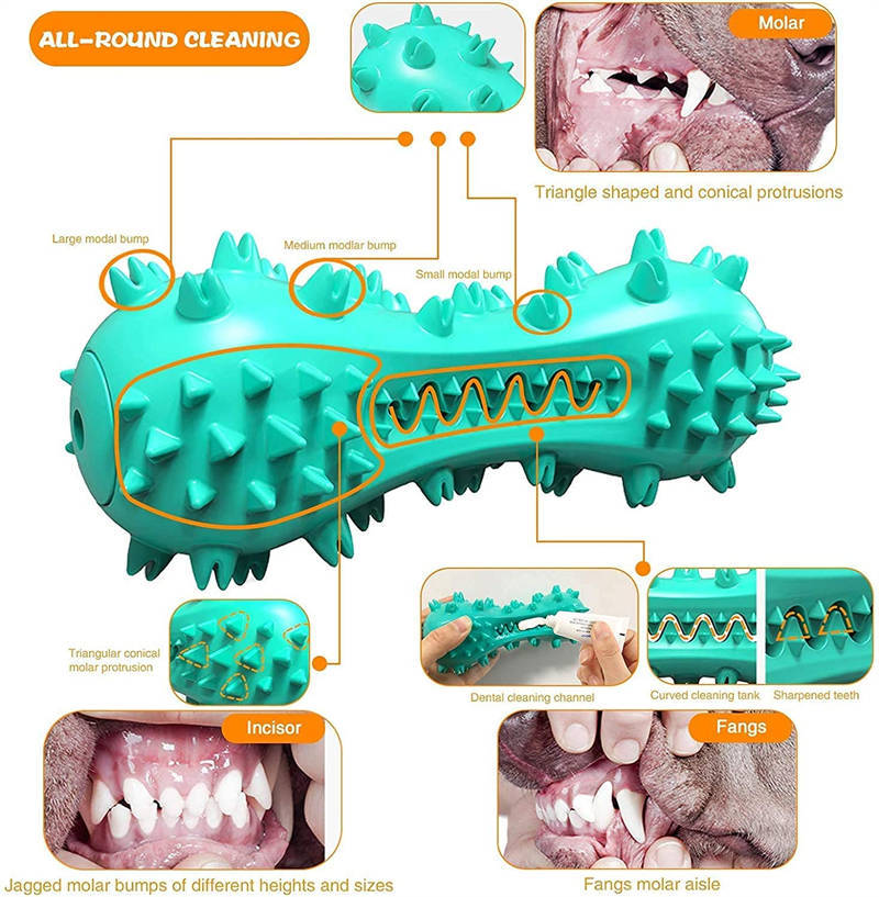 DentaDog Teeth Cleaner